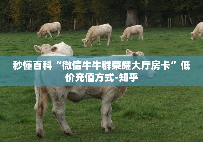 秒懂百科“微信牛牛群荣耀大厅房卡”低价充值方式-知乎